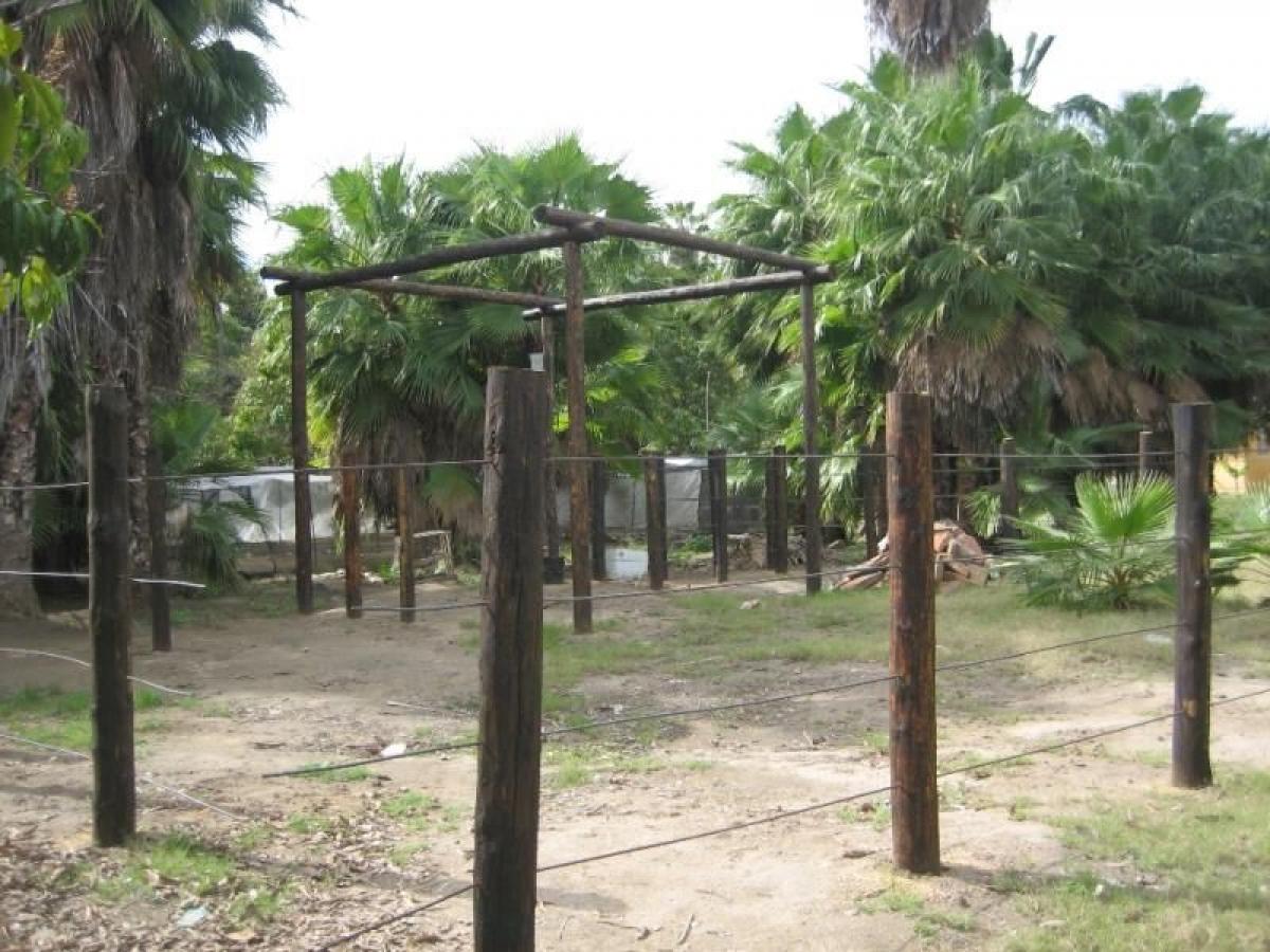 Земельный участок в Ла Пас, Мексика № 128975