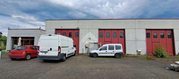 3 rooms Warehouse in Vigonza, Italy No. 293771 6