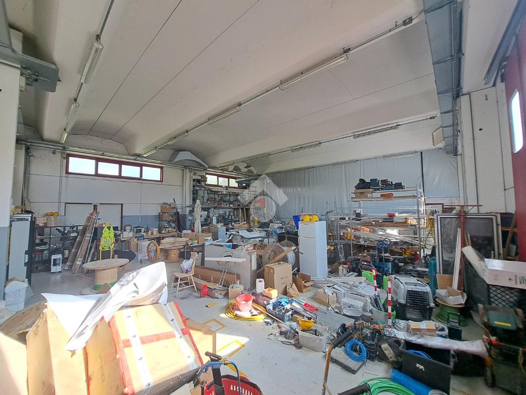 3 rooms Warehouse in Vigonza, Italy No. 293771