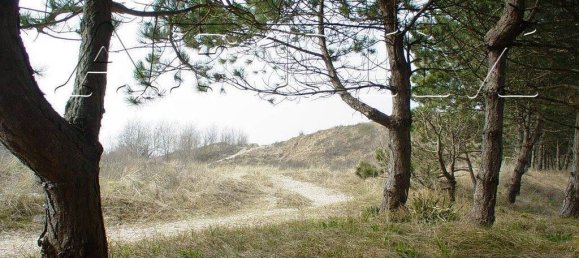 5 Schlafzimmer Villa in Le Touquet-Paris-Plage, France, Nr. 69761 30