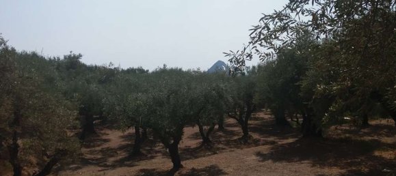 Terreno en Zakynthos, Greece No. 528 9