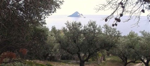  Hotel in Zakynthos, Greece No. 528 6