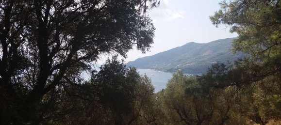  Hotel in Zakynthos, Greece No. 528 8