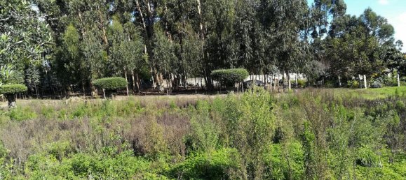 2 bedrooms House in Viana do Castelo, Portugal No. 49105 5