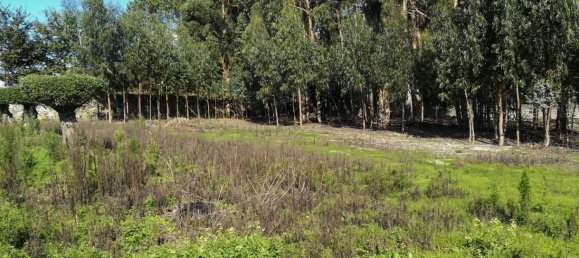 2 bedrooms House in Viana do Castelo, Portugal No. 49105 16