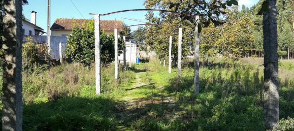 2 bedrooms House in Viana do Castelo, Portugal No. 49105 19