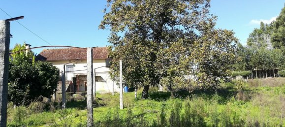 2 bedrooms House in Viana do Castelo, Portugal No. 49105 20