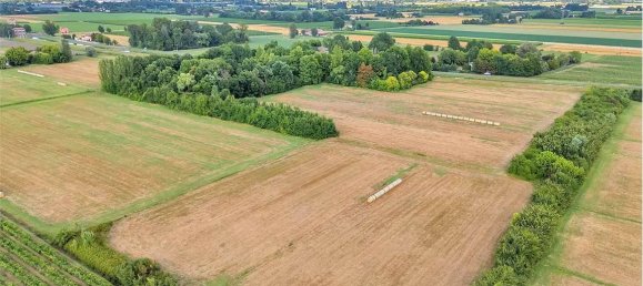 8 bedrooms House in Campogalliano, Italy No. 302468 3