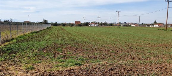 4950m² Hotel in Chalkidiki, Greece No. 4264 4