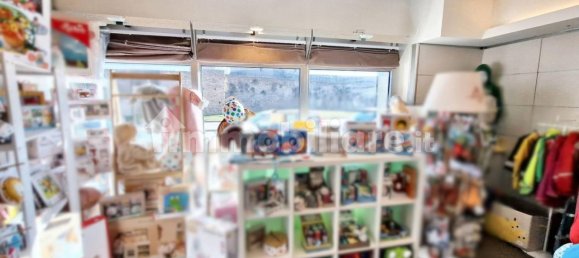 107m² Commercial property in Rimini, Italy No. 317066 14