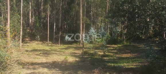  Land in Riba de Ave, Portugal No. 35141 12