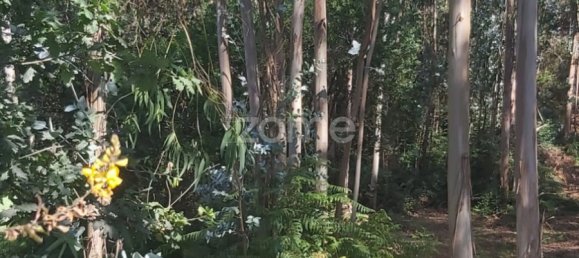  Land in Riba de Ave, Portugal No. 35141 8