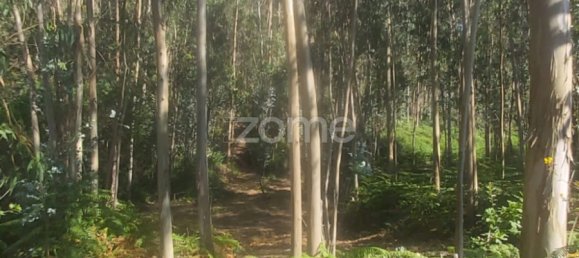  Land in Riba de Ave, Portugal No. 35141 6