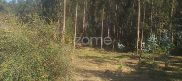  Land in Riba de Ave, Portugal No. 35141 13