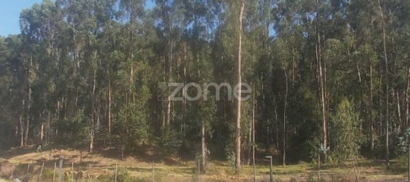  Land in Riba de Ave, Portugal No. 35141 15