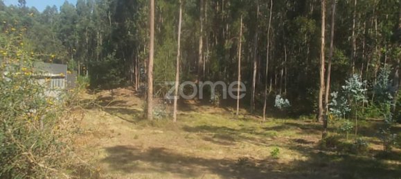  Land in Riba de Ave, Portugal No. 35141 9