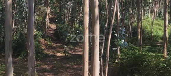  Land in Riba de Ave, Portugal No. 35141 7