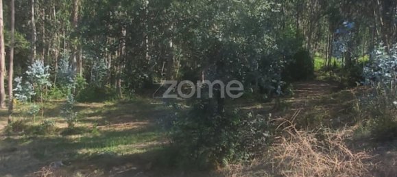  Land in Riba de Ave, Portugal No. 35141 11