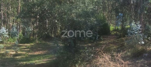  Land in Riba de Ave, Portugal No. 35141 14