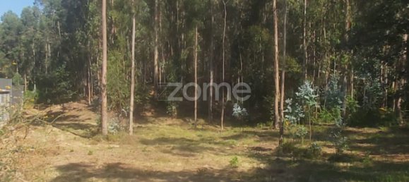  Land in Riba de Ave, Portugal No. 35141 10