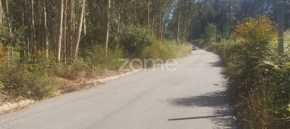  Land in Riba de Ave, Portugal No. 35141 16