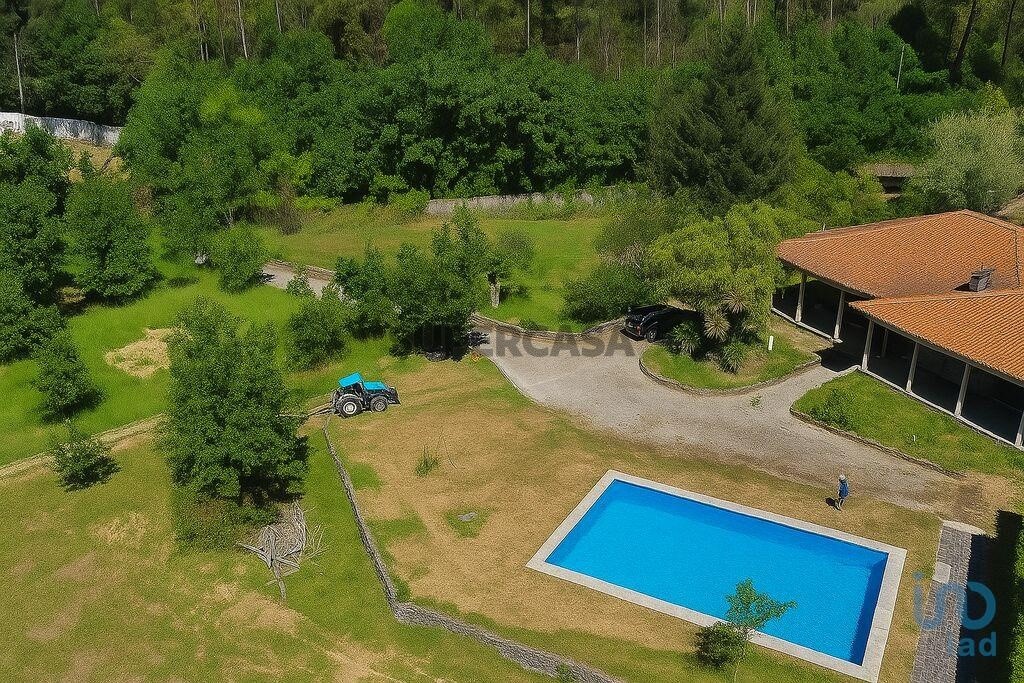 4 bedrooms House in Sao Pedro do Sul, Portugal No. 320904