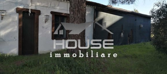 2 rooms House in Nicolosi, Italy No. 285241 12