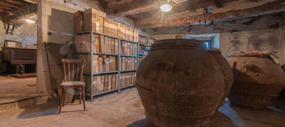 785m² Building in Vico nel Lazio, Italy No. 77081 46