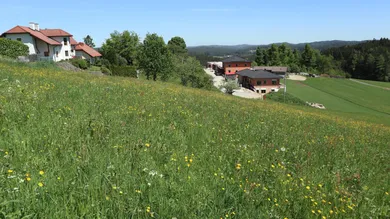  قطعة أرض في Liebenau, Austria رقم 63031