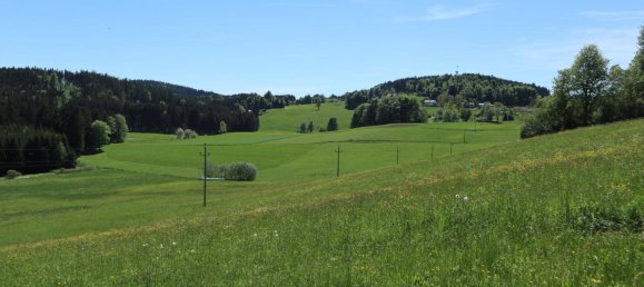  قطعة أرض في Liebenau, Austria رقم 63031 4