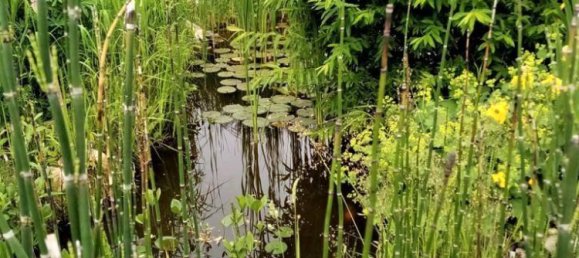 6-Zimmer Haus in Großwilfersdorf, Austria, Nr. 217638 16