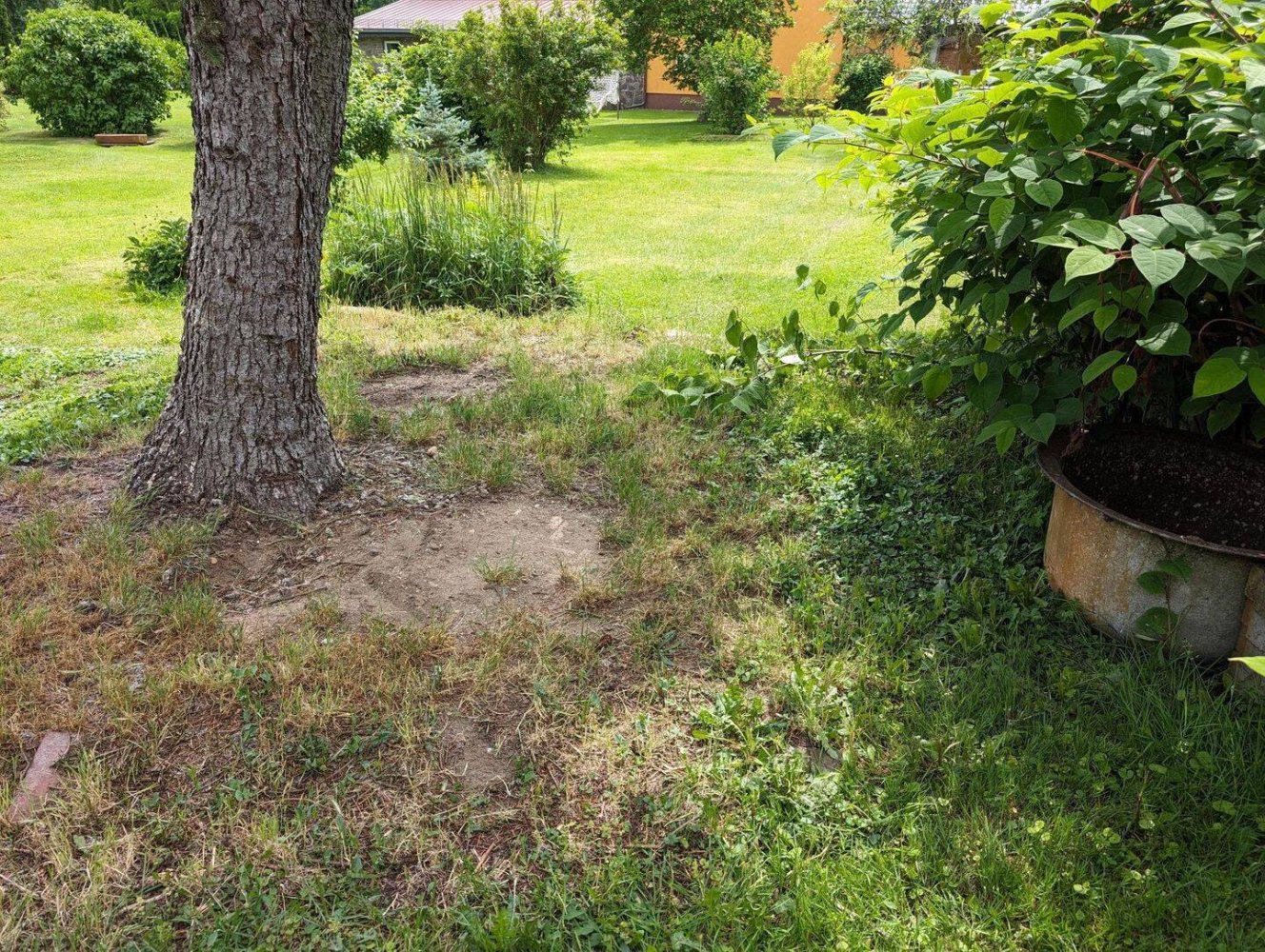 Casa de 4 habitaciónes en Wittenberg, Germany No. 141188