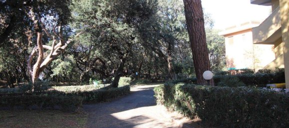 5 rooms Apartment in San Vincenzo, Italy No. 48401 32