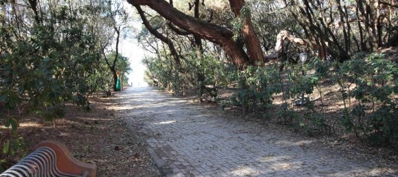 5 rooms Apartment in San Vincenzo, Italy No. 48401 33