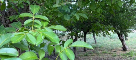 1 bedroom House in Campobasso, Italy No. 356951 12