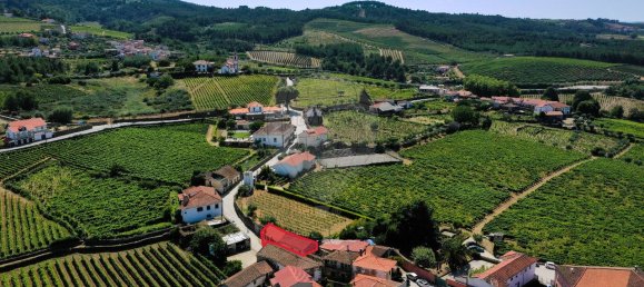 2 bedrooms House in Sabrosa, Portugal No. 177757 10