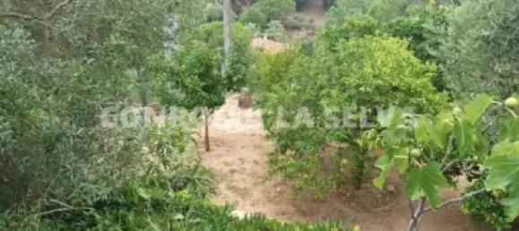 Terreno en Lloret de Mar, Spain 709 m² No. 145345 7