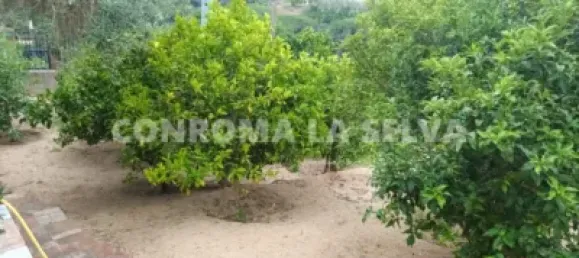 Terreno en Lloret de Mar, Spain 709 m² No. 145345 6