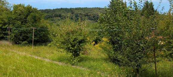 4 chambres Maison à Rhineland-Palatinate, Germany No. 293318 2