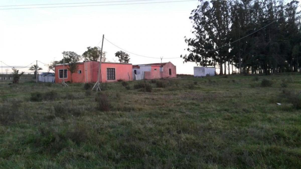  Farm in Maldonado, Uruguay No. 16150
