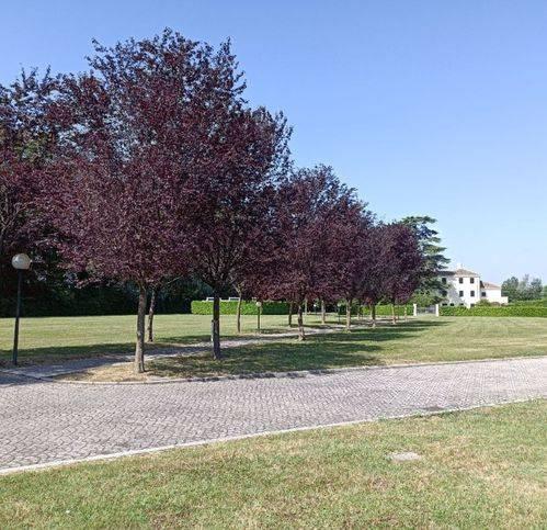 5 rooms Villa in Mogliano Veneto, Italy No. 108359