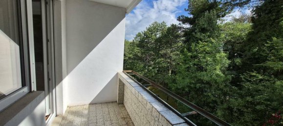 Apartamento de 2 habitaciónes en Bad Voslau, Austria No. 258999 7