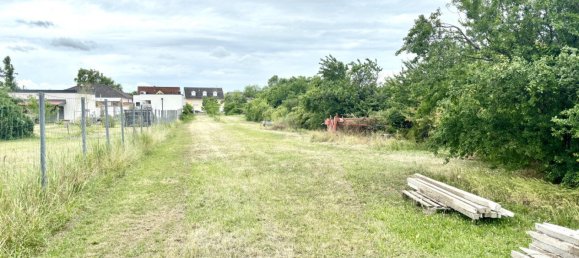  Land in Tadten, Austria No. 131142 7