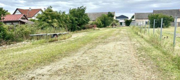  Land in Tadten, Austria No. 131142 6