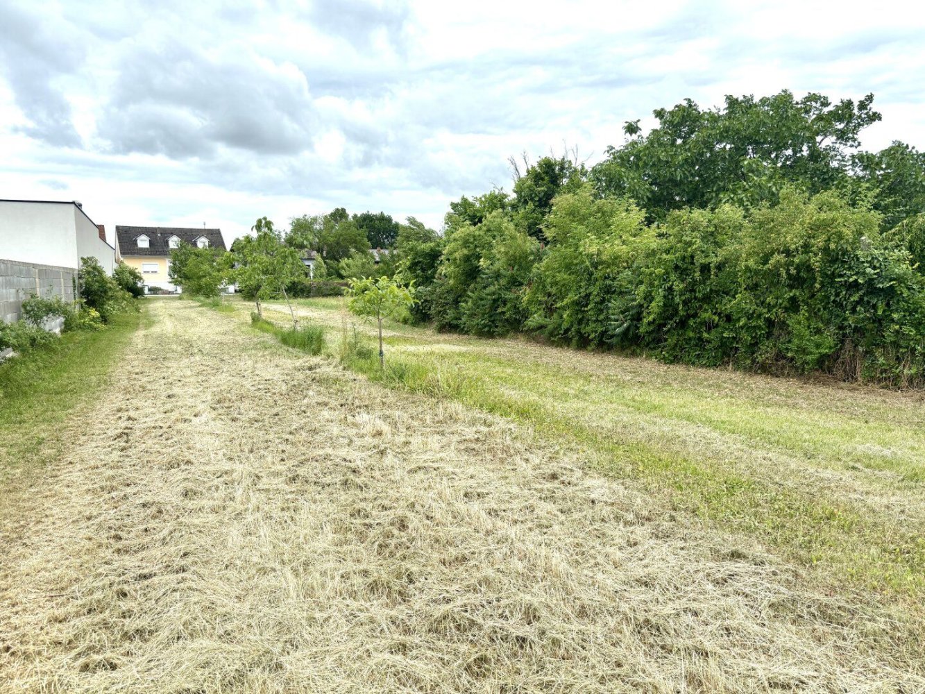  Land in Tadten, Austria No. 131142