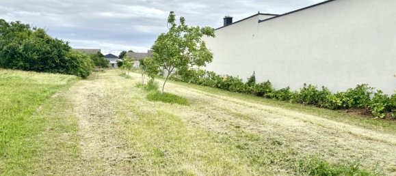  Land in Tadten, Austria No. 131142 4