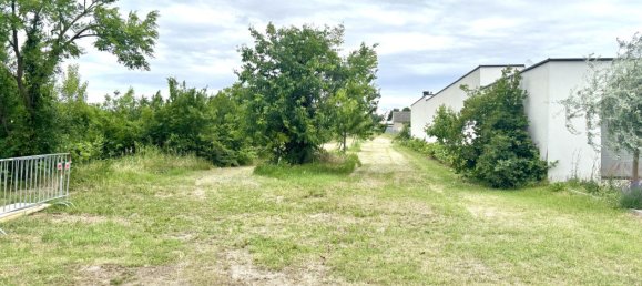  Land in Tadten, Austria No. 131142 3