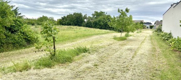  Land in Tadten, Austria No. 131142 5