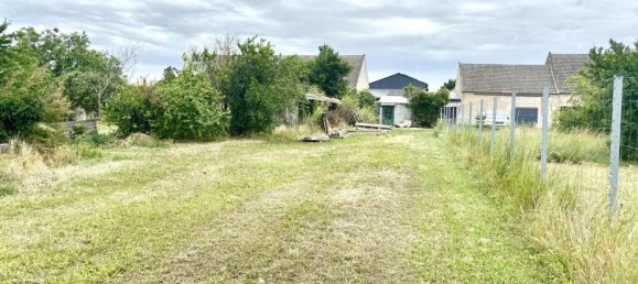  Land in Tadten, Austria No. 131142 2