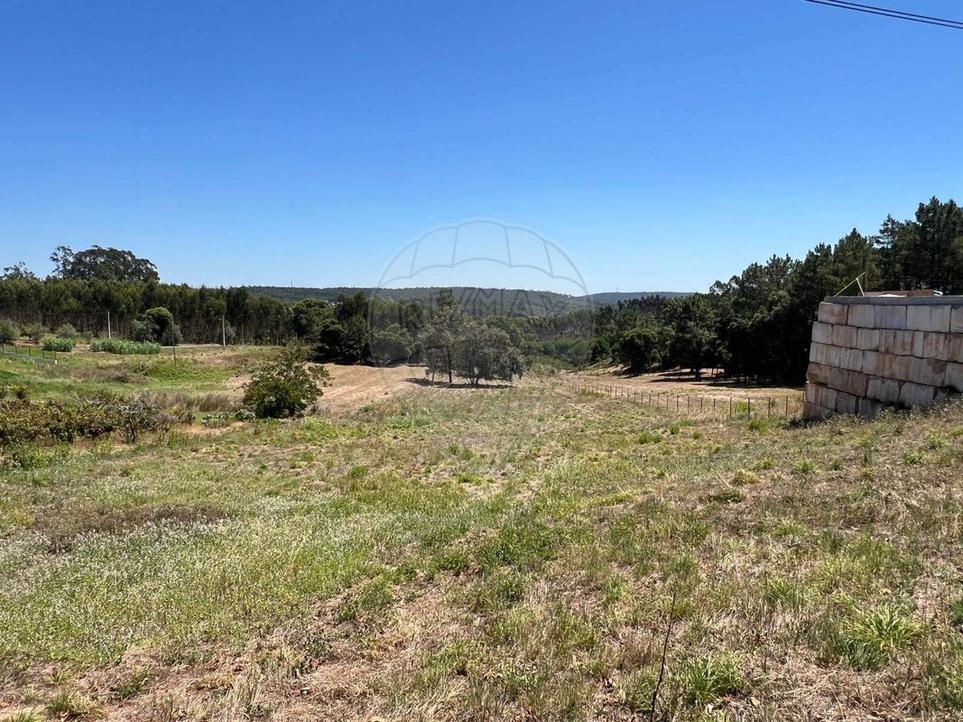  Land in Caldas da Rainha, Portugal No. 194543